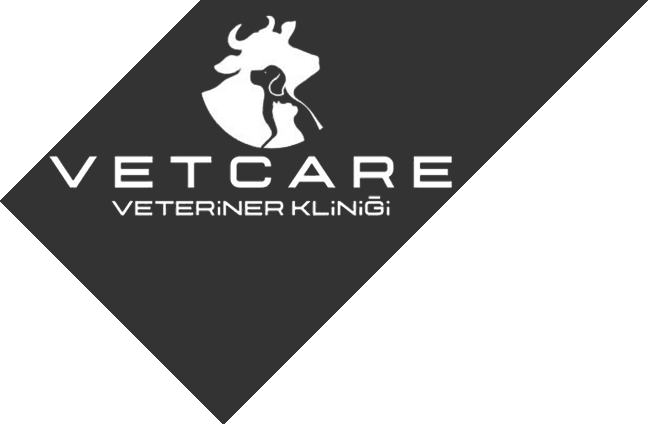 Vetcare Veteriner Kliniği